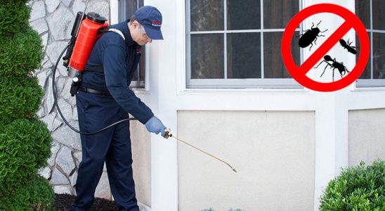 Konyaaltı Gümüşkurt İlaçlama böcek ilaçlama ve haşere kontrolü — ilaclama-tr.com